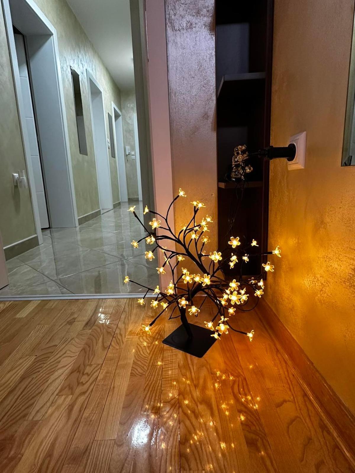Apartment L&d